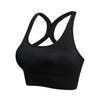 Lift and Support: Push Up Seamless Sports Bra - Haute Damsel