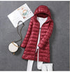  Flat lay of jacket with accessories  